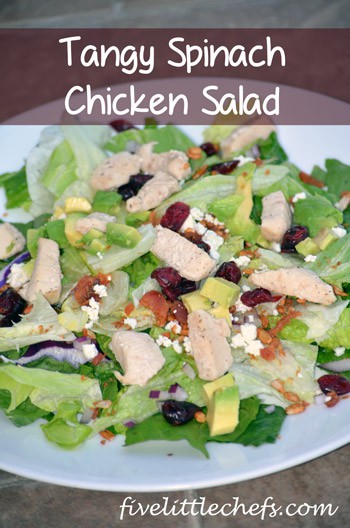 Tangy Spinach Chicken Salad from fivelittlechefs.com #salad #recipe