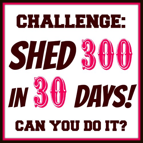 Challenge 300 in 30 Days from fivelittlechefs.com