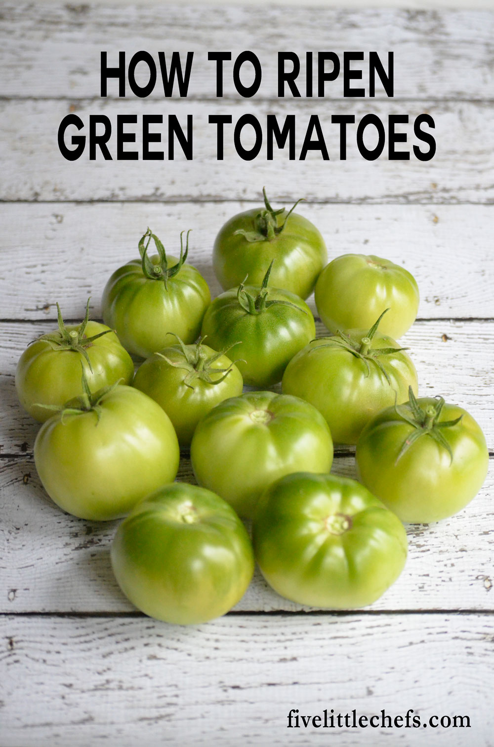 Tips on how to ripen green tomatoes indoors just before the frost is about to hit the vines.