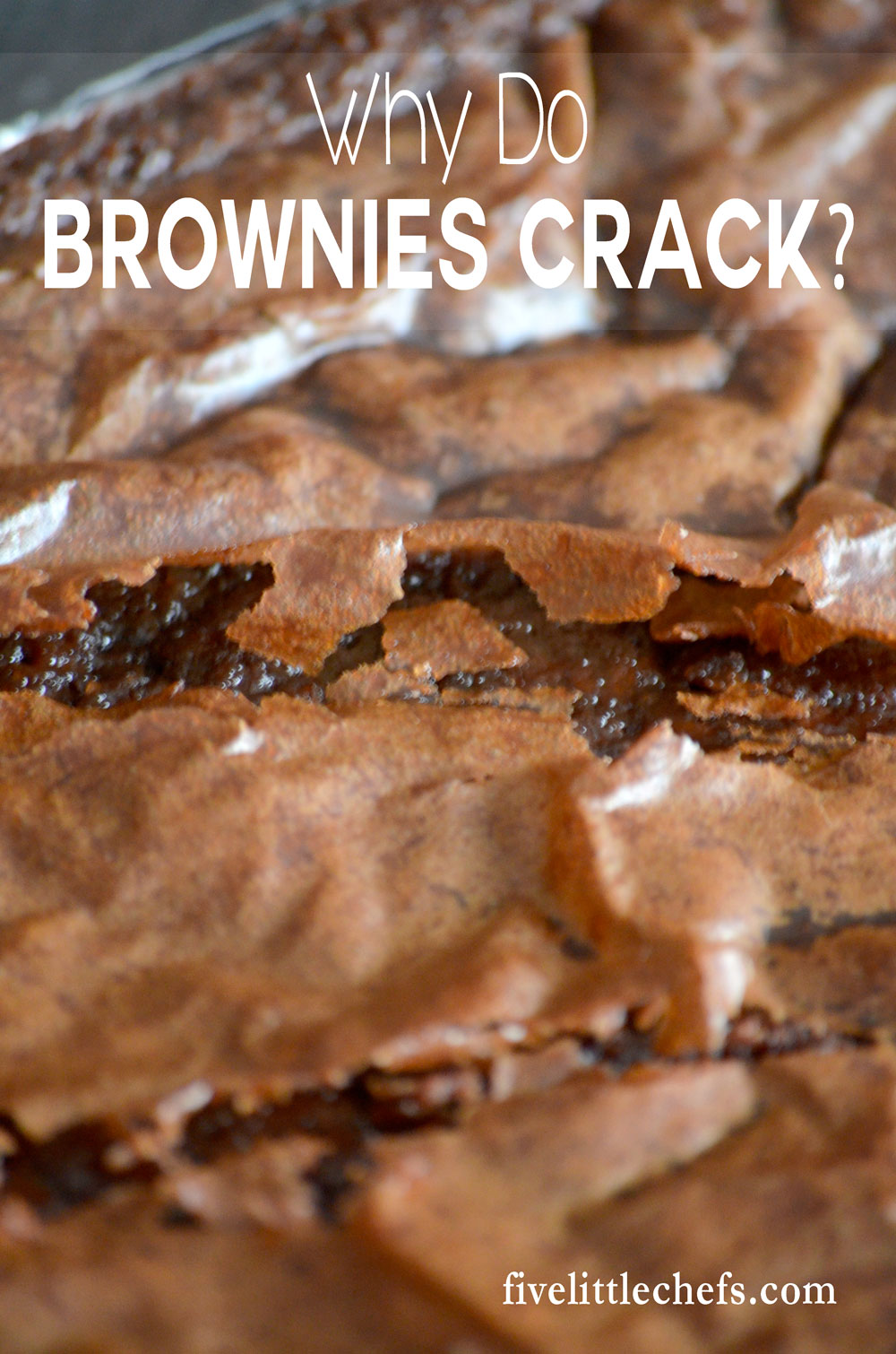 Why do brownies crack after they cool? The answer is surprisingly simple. Next time you make a batch of brownies use this simple tip to eliminate bubbles and cracks.